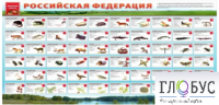 Стенд "Красная книга РФ" - «globural.ru» - Тюмень