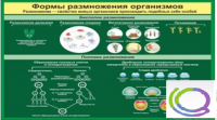 Стенд "Формы размножения организмов" - «globural.ru» - Тюмень