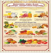 Стенд "Витамины, жиры, белки" - «globural.ru» - Тюмень