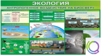 Стенд "Экология. Антропогенное воздействие на биосферу" - «globural.ru» - Тюмень