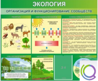 Стенд "Экология. Организация и функционирование сообществ" - «globural.ru» - Тюмень