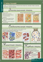Биология 8-9 класс. Человек. (комплект таблиц) - «globural.ru» - Тюмень