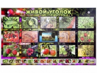 Комплект оборудования "Живой уголок" (растения) с тифлопереводом и сурдокомментариями - «globural.ru» - Тюмень