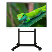 Интерактивный комплекс Geckotouch ​​​​​​​65RK - «globural.ru» - Тюмень