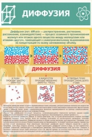 Стенд "Диффузия" - «globural.ru» - Тюмень