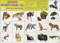 Раздаточные карточки "Дикие животные" часть 2 - «globural.ru» - Тюмень