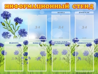 Стенд информационный с 7 карманами - «globural.ru» - Тюмень