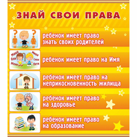 Стенд "Знай свои права" - «globural.ru» - Тюмень