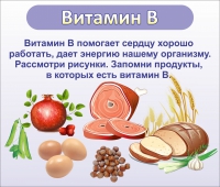 Стенд "Витамин В" - «globural.ru» - Тюмень