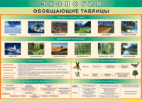 Обобщающие таблицы 1000*700 винил	 - «globural.ru» - Тюмень