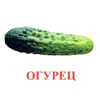 Карточки Домана "Овощи-Зелень-1" - «globural.ru» - Тюмень
