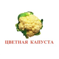 Карточки Домана "Овощи-Зелень-2" - «globural.ru» - Тюмень
