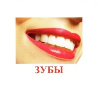 Карточки Домана "Части тела" - «globural.ru» - Тюмень