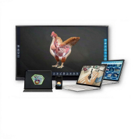Интерактивное наглядное 3D пособие «Познание: Птицеводство» - «globural.ru» - Тюмень