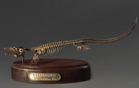 Модель скелета мозазавра Mosasaurus - «globural.ru» - Тюмень