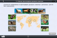Интерактивные курсы. Биология 7 класс. Расширенный - «globural.ru» - Тюмень