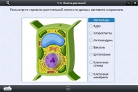 Интерактивные курсы. Биология 9 класс. Расширенный - «globural.ru» - Тюмень