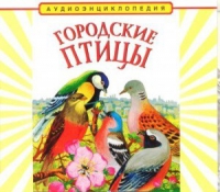 CD "Аудиоэнциклопедия. Городские птицы" - «globural.ru» - Тюмень