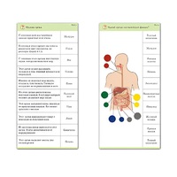 Комплект карточек (10) "Обучающий калейдоскоп. Человек" - «globural.ru» - Тюмень