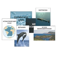 Модель-аппликация "Океаны. Знакомство" (ламинированная) - «globural.ru» - Тюмень