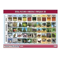 Таблица демонстрационная "Почвы, растения и животные природных зон" (винил 100x140) - «globural.ru» - Тюмень