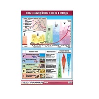 Таблица демонстрационная "Этапы взаимодействия человека и природы" (винил 70x100) - «globural.ru» - Тюмень