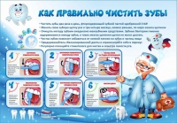 Стенд "Как правильно чистить зубы" - «globural.ru» - Тюмень