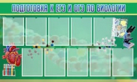 Стенд "Подготовка к ЕГЭ и ОГЭ по биологии" (вариант 2) - «globural.ru» - Тюмень