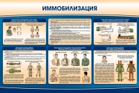 Стенд "Иммобилизация" - «globural.ru» - Тюмень