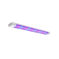 Фитолампа - «globural.ru» - Тюмень