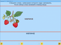 Русский язык. 1 класс. (Учебно-методический комплект). - «globural.ru» - Тюмень