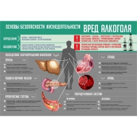 Стенд "Алкоголь" - «globural.ru» - Тюмень