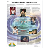 Плакат "Наркотическая зависимость", ламинированный, 50*67 см - «globural.ru» - Тюмень