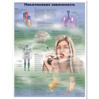 Плакат "Никотиновая зависимость", ламинированный, 50*67 см - «globural.ru» - Тюмень