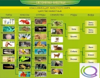 Стенд "Систематика животных" - «globural.ru» - Тюмень