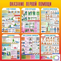 Стенд "Оказание первой помощи" - «globural.ru» - Тюмень
