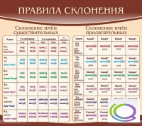 Стенд "Правила склонения" - «globural.ru» - Тюмень