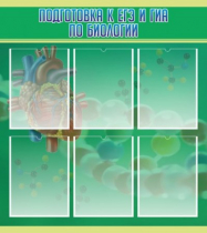 Стенд "Подготовка к ЕГЭ и ОГЭ по биологии" (вариант 1) - «globural.ru» - Тюмень