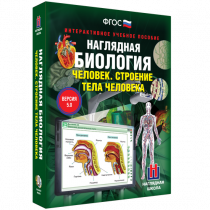 Наглядная биология. Человек. Строение тела человека - «globural.ru» - Тюмень