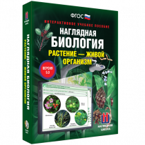 Наглядная биология. Растение - живой организм - «globural.ru» - Тюмень