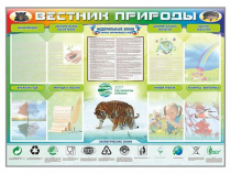 Стенд-уголок "Вестник природы" (вариант 1) - «globural.ru» - Тюмень