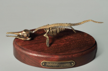 Модель скелета ихтиозавра Ichthyosaurus - «globural.ru» - Тюмень