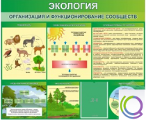 Стенд "Экология. Организация и функционирование сообществ" - «globural.ru» - Тюмень