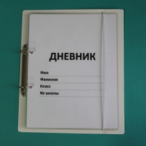 Дневник школьника (с полным набором карточек) - «globural.ru» - Тюмень