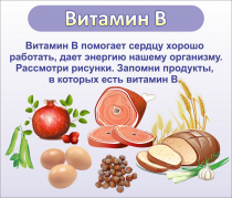 Стенд "Витамин В" - «globural.ru» - Тюмень