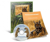 Электронное наглядное пособие «Млекопитающие» - «globural.ru» - Тюмень