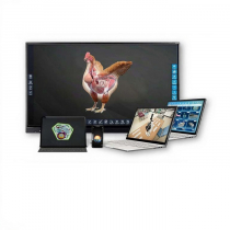 Интерактивное наглядное 3D пособие «Познание: Птицеводство» - «globural.ru» - Тюмень