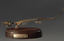 Модель скелета мозазавра Mosasaurus - «globural.ru» - Тюмень