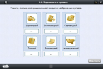 Интерактивные курсы. Биология 8 класс. Расширенный - «globural.ru» - Тюмень