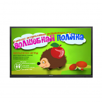 Интерактивная сенсорная панель 55"  (UHD 4K) - «globural.ru» - Тюмень
